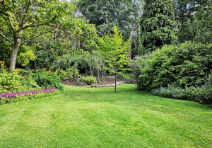 Optimiser l'expérience du jardin à Soligny-les-Etangs